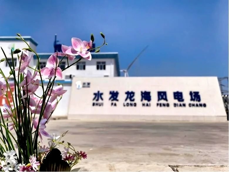 1749430145648822.jpg 8.jpg